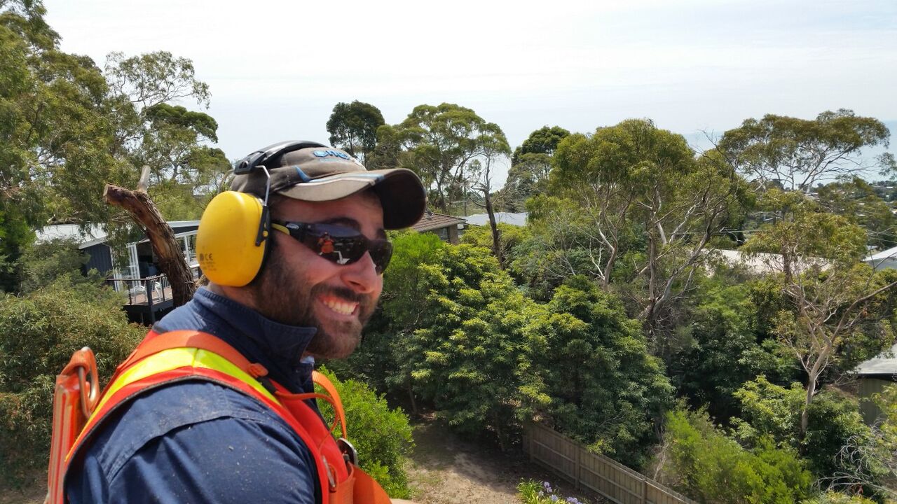 Spartan Tree and Earthworks Services featured image